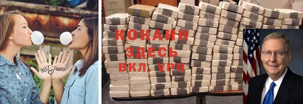 крисы Алексин