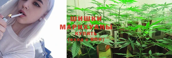соль ск Алзамай