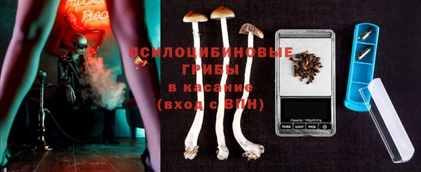 крисы Алексин