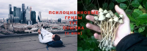соль ск Алзамай