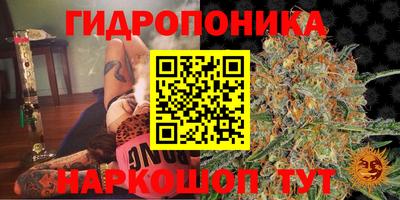прущая мука Новозыбков