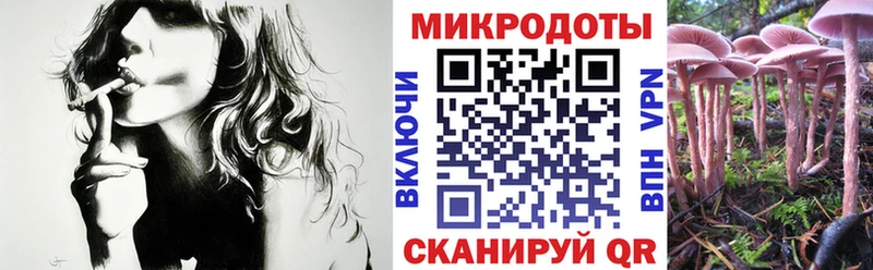 купить наркотик  Тихвин  Галлюциногенные грибы MAGIC MUSHROOMS 