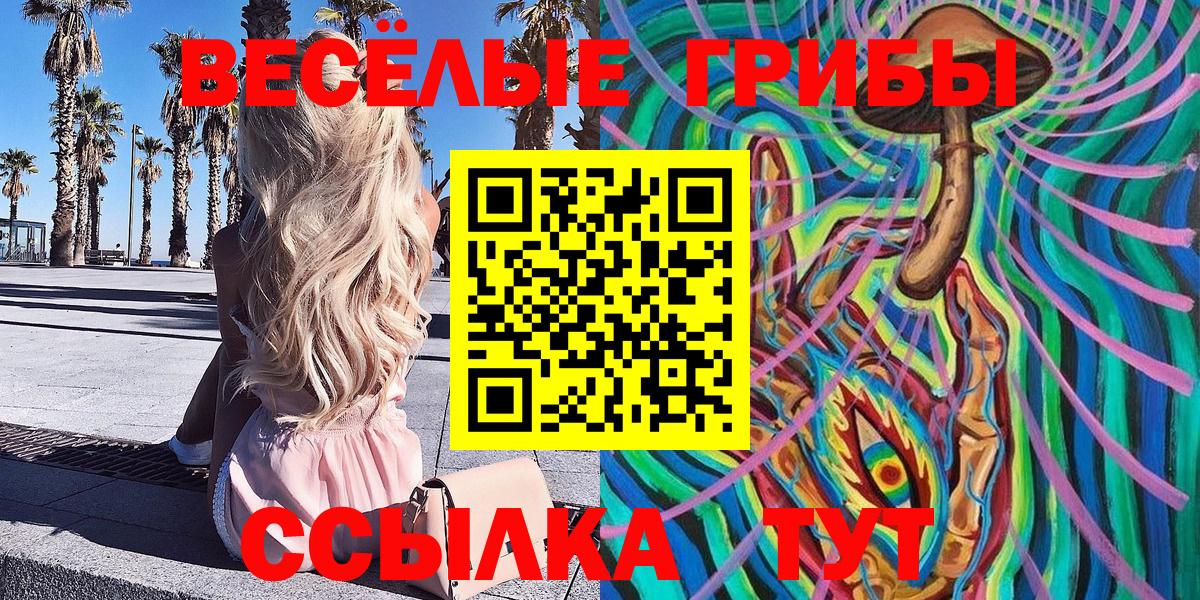 Галлюциногенные грибы Magic Shrooms  Псилоцибиновые грибы GOLDEN TEACHER  Вход с VPN  Тихвин 